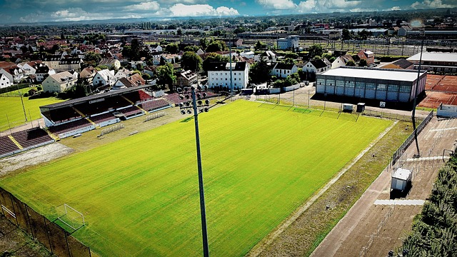 都已经展现 都已经展现