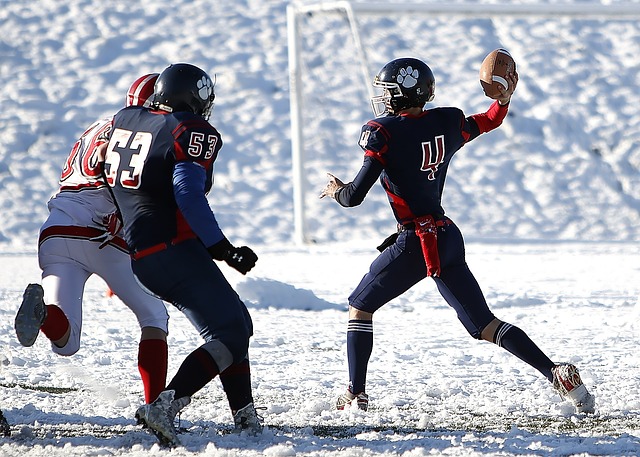 下賽季球隊 下賽季球隊