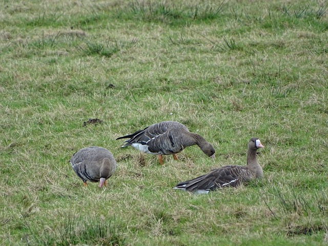 的训练调整 的训练调整